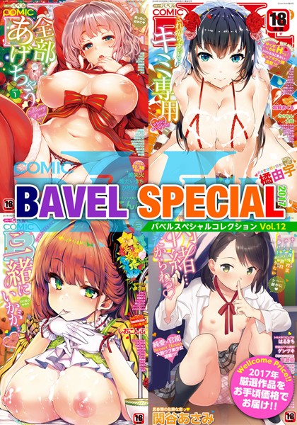 COMIC BAVEL SPECIAL COLLECTION（コミックバベル スペシャルコレクション） VOL12