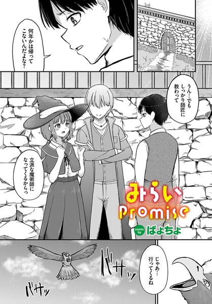 みらいpromise