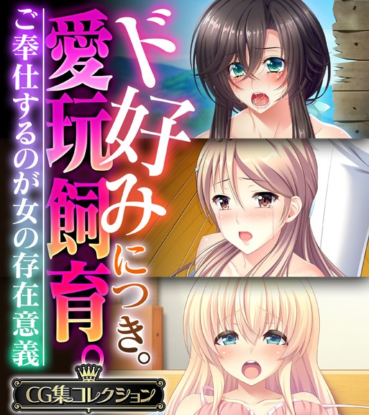 ド好みにつき。愛玩飼育 。 〜ご奉仕するのが女の存在意義〜【CG集コレクション】