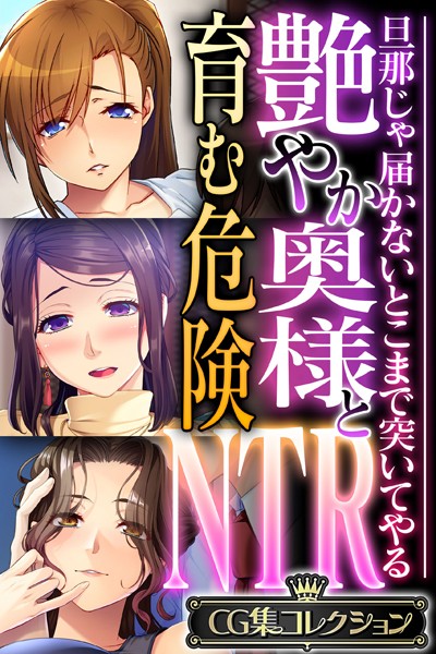 艶やか奥様と育む危険NTR 〜旦那じゃ届かないとこまで突いてやる〜【CG集コレクション】