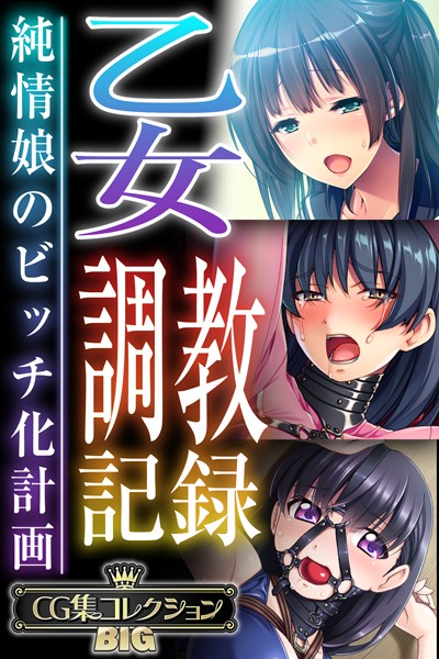 乙女調教記録〜純情娘のビッチ化計画〜【CG集コレクションBIG】