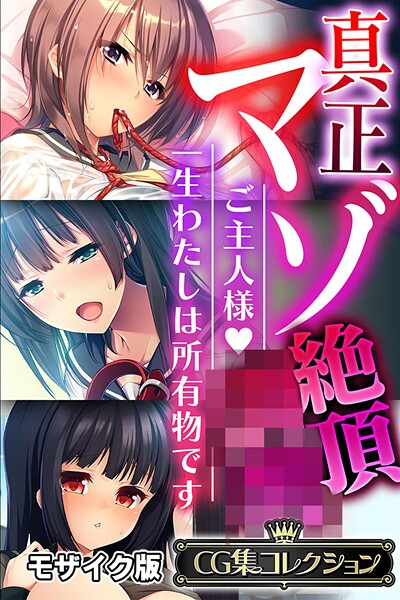 メイン画像