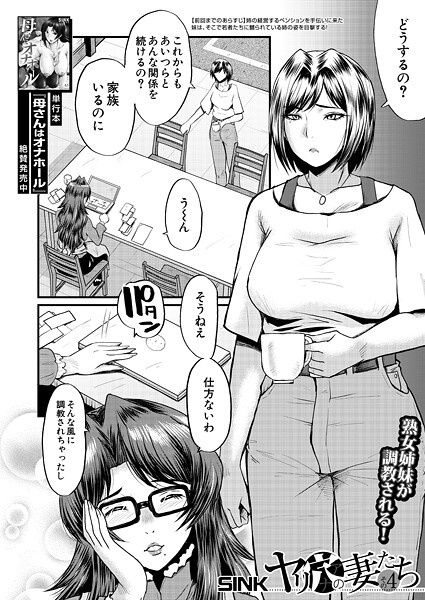 ヤリ穴の妻たち〈その4〉 （SINK）
