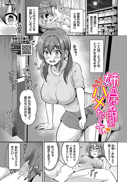 姉の居ぬ間にハメたくて
