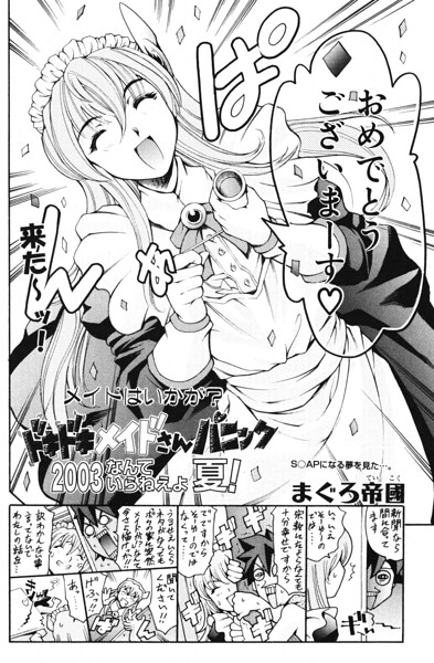 ドキドキメイドさんパニック2003 なんていらねぇよ、夏！